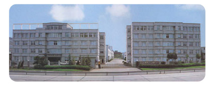 About SavTM(Save Time)